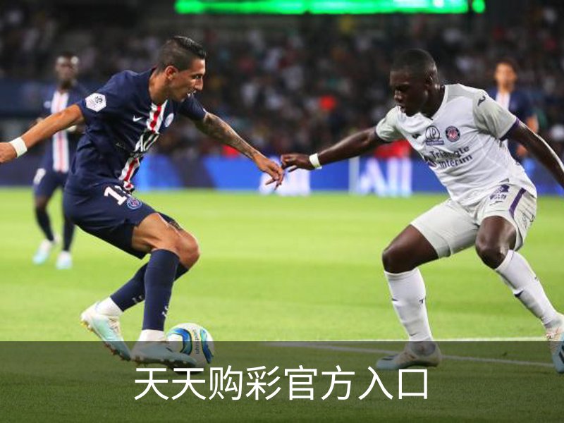 了解天天购彩官方入口